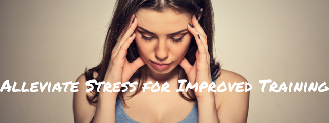 Alleviate Stress for Improved Training
