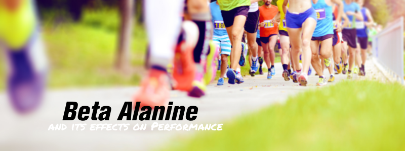 What is Beta Alanine