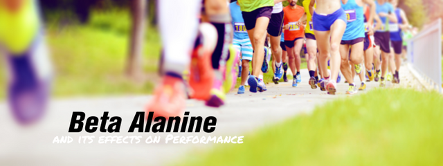 What is Beta Alanine