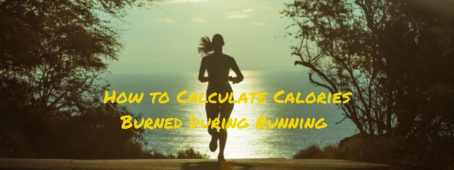 How to Calculate Calories Burned During Running 