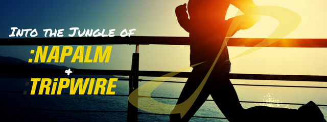 Into the Jungle of NAPALM and TRiPWIRE