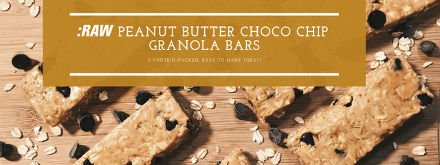 RAW Peanut Butter Chocolate Chip Granola Bars