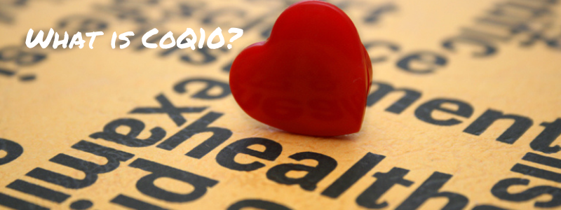 What is CoQ10?
